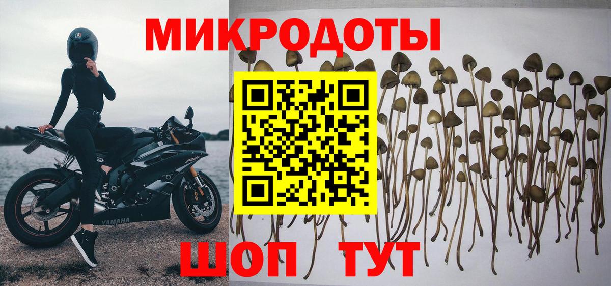 Псилоцибиновые грибы мухоморы  Вход с VPN  Серпухов  Галлюциногенные грибы ЛСД 